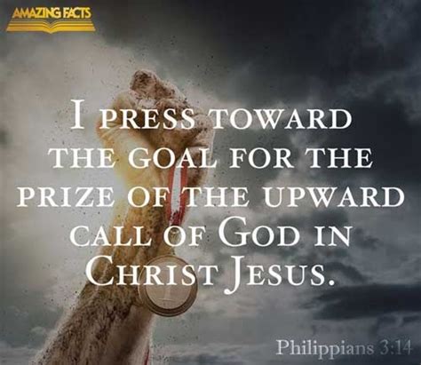 philippians 3 7-14|Philippians 3:7–14 NKJV .